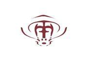 T&M Fire Protection logo